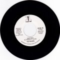 The Wailers...Destiny 7"