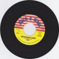 Ray I : Weatherman Skank 7"