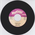 Inge Larsen...Gone Is Love  7"