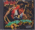 Mad Lion...Real Ting CD