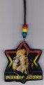 Red, Green & Gold... 21" Necklace & Wooden Lion Of Judah Pendant