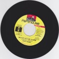 Tony Rebel : Never Get Me Down 7"