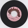 The Shades : Who You Gonna Run To 7"