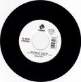 Celine Dion...Because You Loved Me 7"