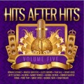 Hits After Hits Vol 5...Various Artist CD