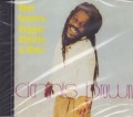 Dennis Brown : Rare Grooves reggae Rhythm & Blues 2CD