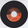 Beres Hammond/Ginja...Rise Above  7"