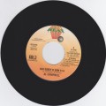 Al Campbell : Nah Sorry Fi Them 7"