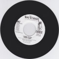  Terry Linen : I Look To You 7"