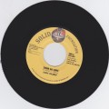 Jah Ruby : Dash The Love 7"