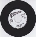 The Hamlins...Sentimental Reason 7"
