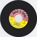 Lloyd Parks & Carlton Patterson : Let Me Go Girl 7"
