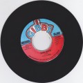 Culture : Zion Gate 7"